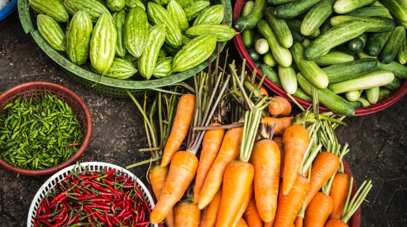 bundle of assorted vegetable lot